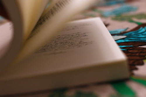 La Vie Minérale de Julien Champagne, photographie des pages intérieures Aperçu de la retranscription du manuscrit de Julien Champagne à l'échelle 1 à l'intérieur de La Vie Minérale.